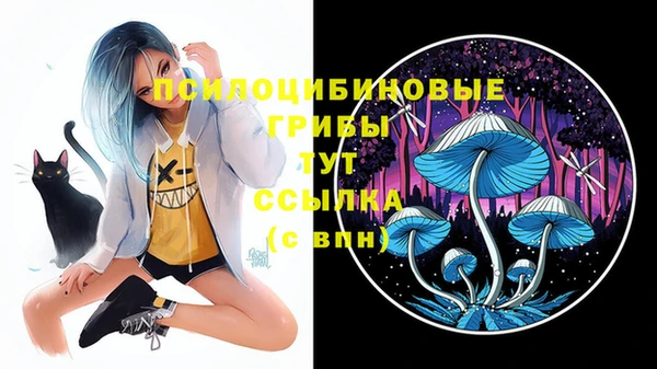 спайс Волоколамск