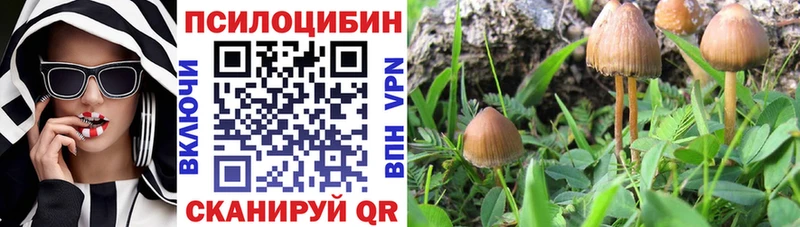 Галлюциногенные грибы Cubensis  Гай 
