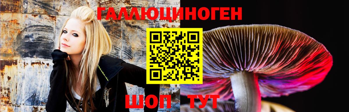 Галлюциногенные грибы Psilocybe  Вход с VPN  Галлюциногенные грибы MAGIC MUSHROOMS  Гай 