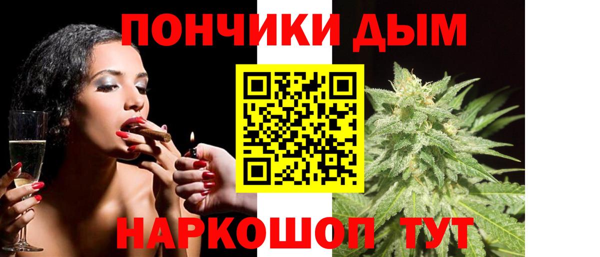 Каннабис сатива Гай